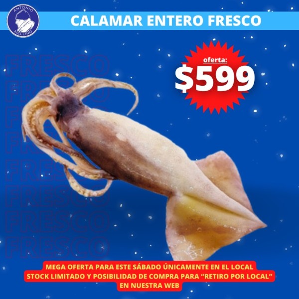 * Calamar Entero Fresco x kilo (sábado)