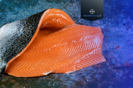 MARINE HARVEST