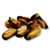 MEJILLON PELADO X 500 GR